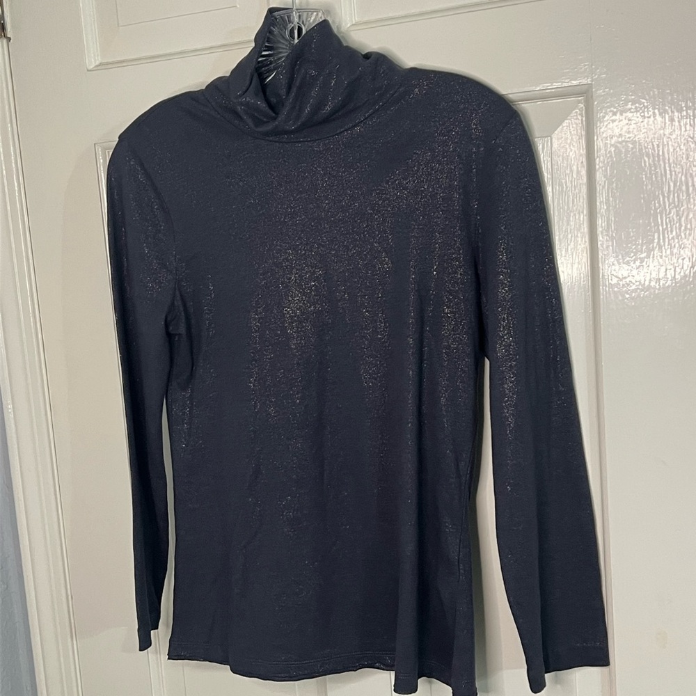 Anthropologie Shimmering Gray Turtleneck Top